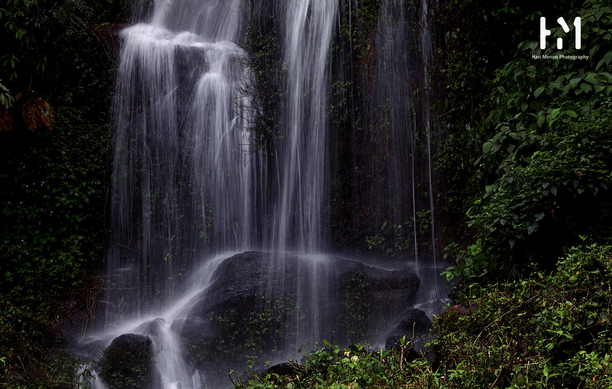 INDA kerala Munnar Landscape Nature monsoon waterfall forest green