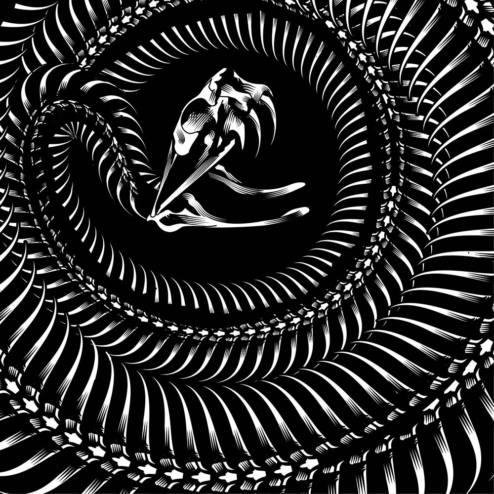 brush design skin snake texture aesthetic dark music vinyl Vinyl Cover