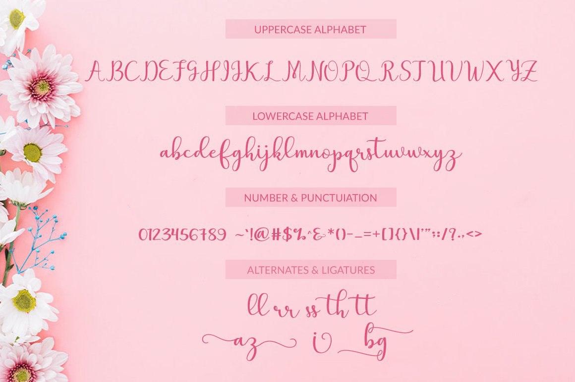 Logotype Swashes smooth wedding Calligraphy   feminine branding  valentines Love Christmas