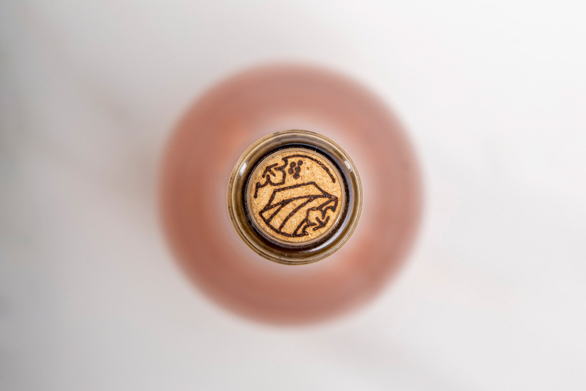 brand branding  logo Logotype vineyard visual identity wine winery tradition uruguay