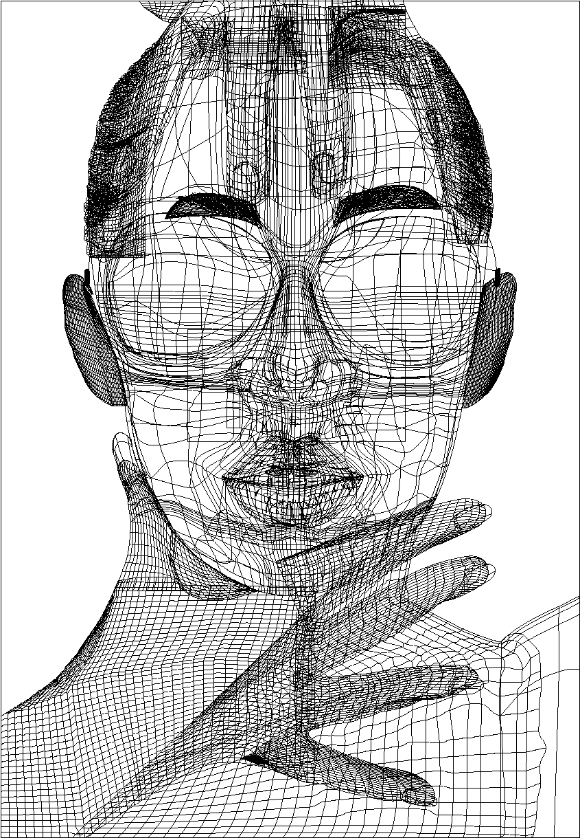 gradient mesh portrait
