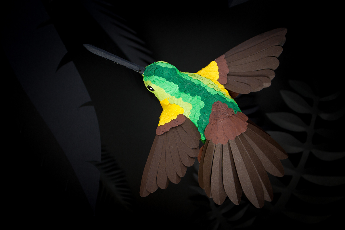 paper papercraft paper art hummingbird colors jungle colibri feathers Fly