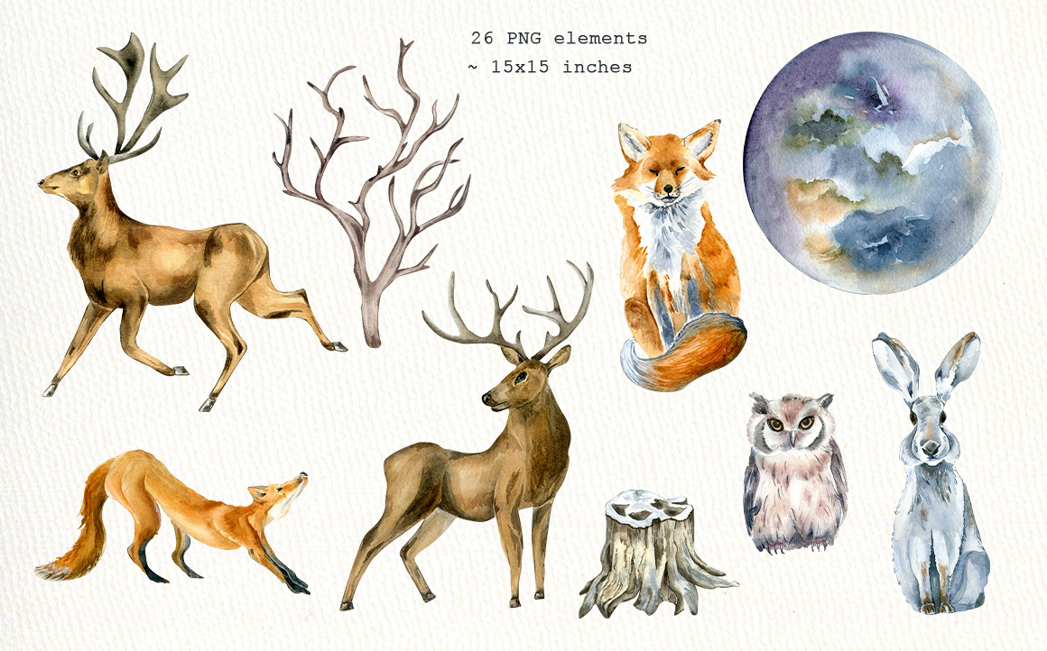 WINTER COLLECTION animals illustration hare deer forest Christmas card Patterns FOX owl