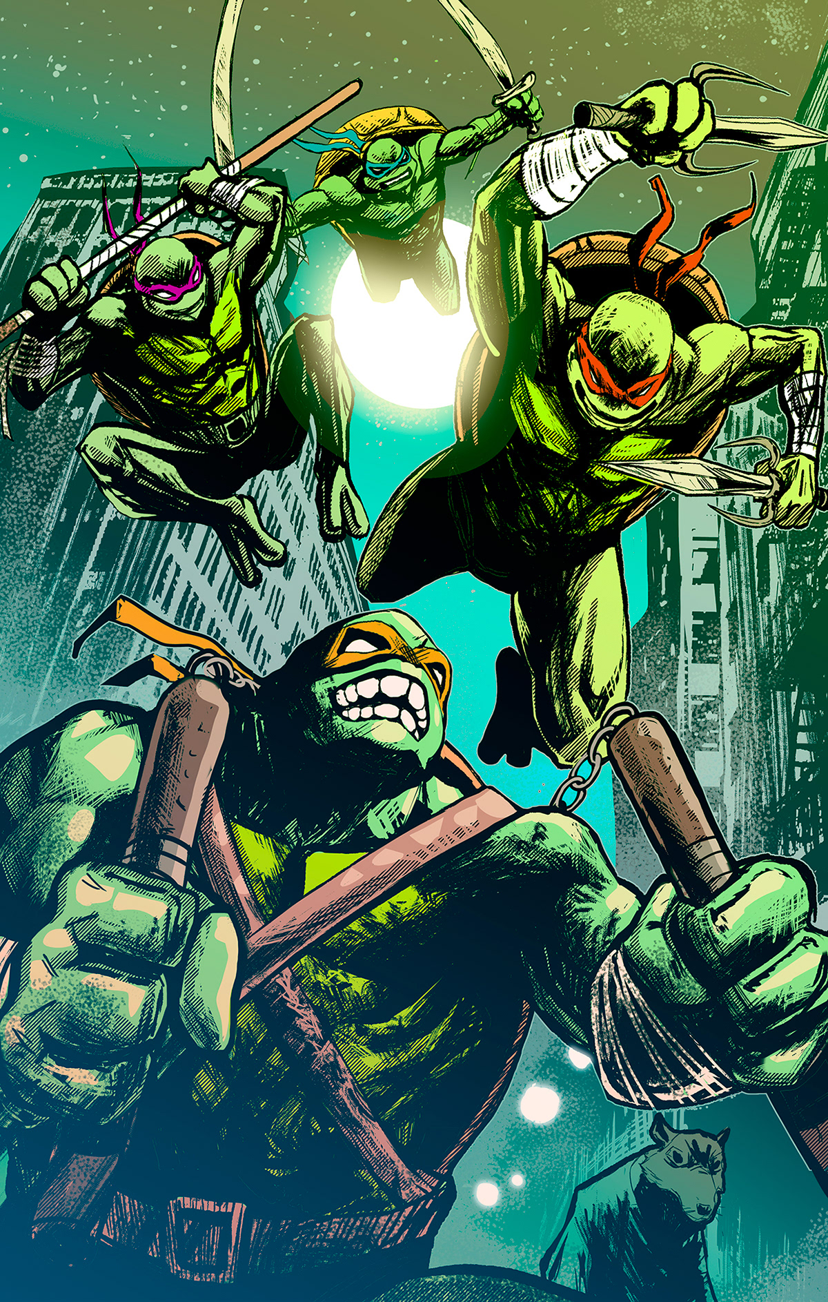 teenage mutant ninja Michelangelo Leonardo raphael Donatello Turtles  Ninja Turtles