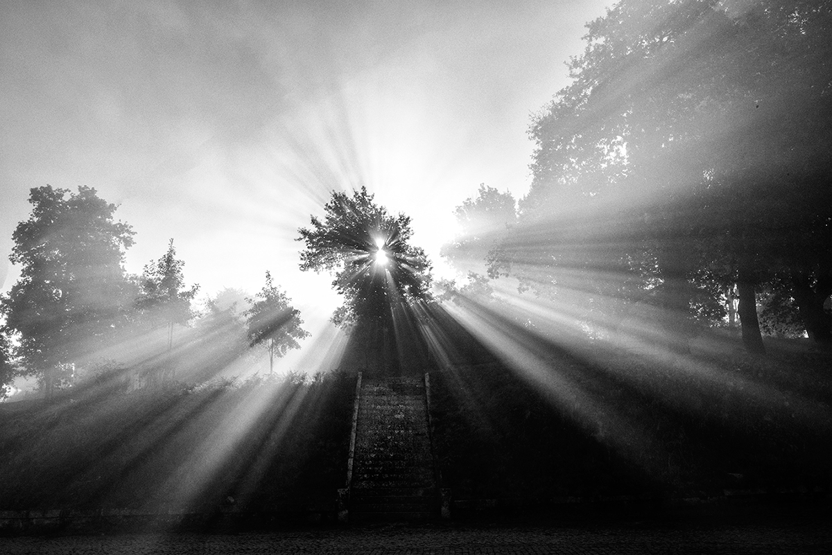 monks Portugal monastery photo documentary Jose Ferreira  documentary monks documentary monastery jose ferreira photographer