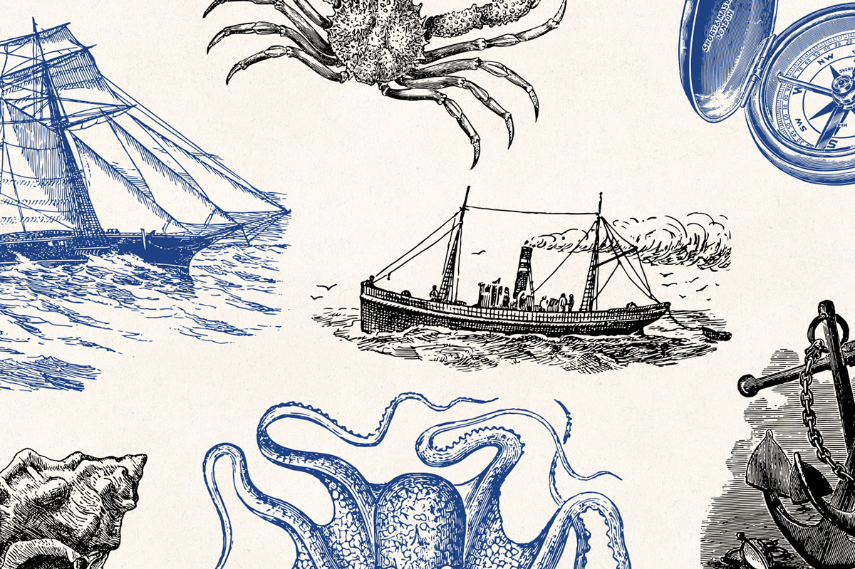 vintage Retro illustrations Drawing  engraving vector nautical marine sea old