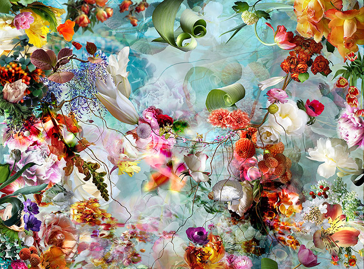isabelle menin Landscape Flowers Digital Art  fine art photography summer colors