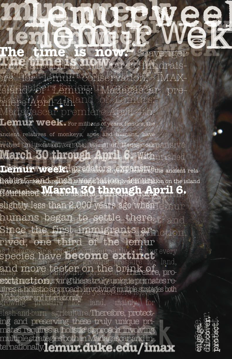 poster Event lemur David Carson Overlapping emotive dark