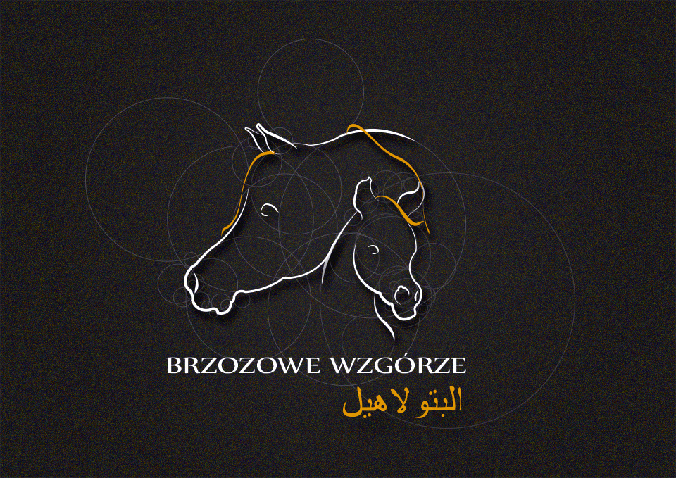 horse arabian horses foal logo Logotype barn stable ranch birch hill gold golden circle geometric
