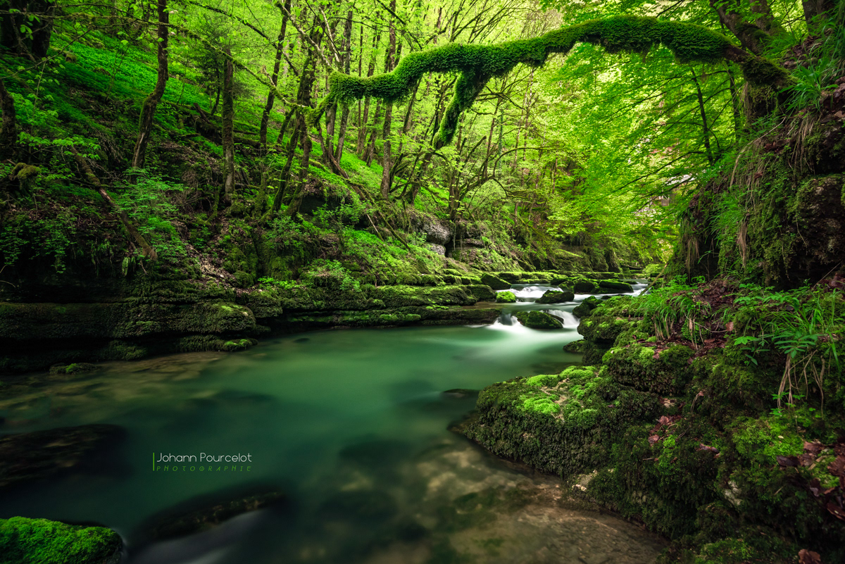 cascade  eau  water  Wasser aqua  green  vert   verde  groen  nature  waterfall forest  fairy  pixies  marvelous