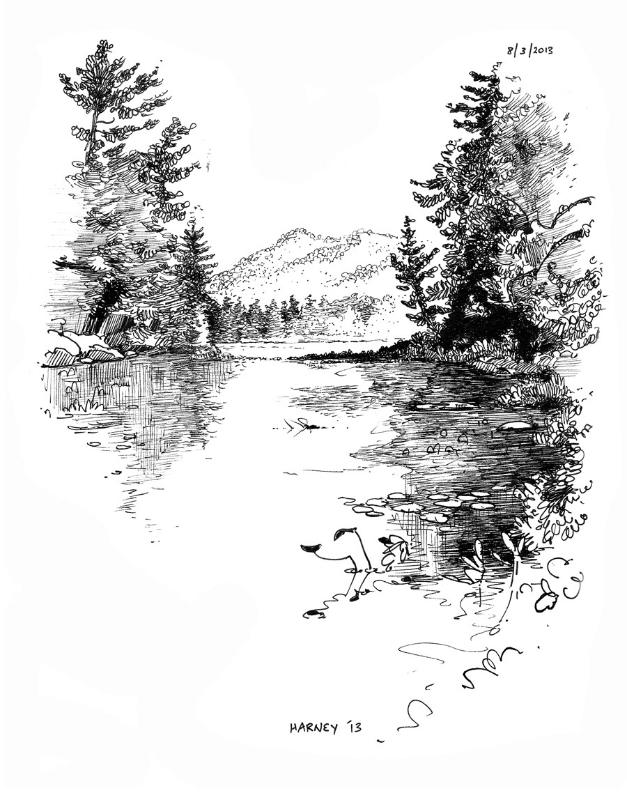 pen and ink  pen  ink  drawing sketch  sketchboooks  trees  landscapes  parks  2012