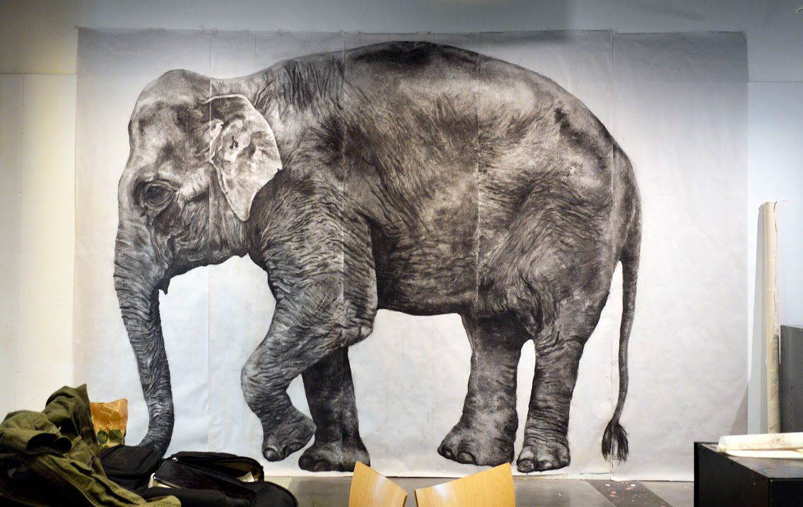 charcoal elephant Drawing 