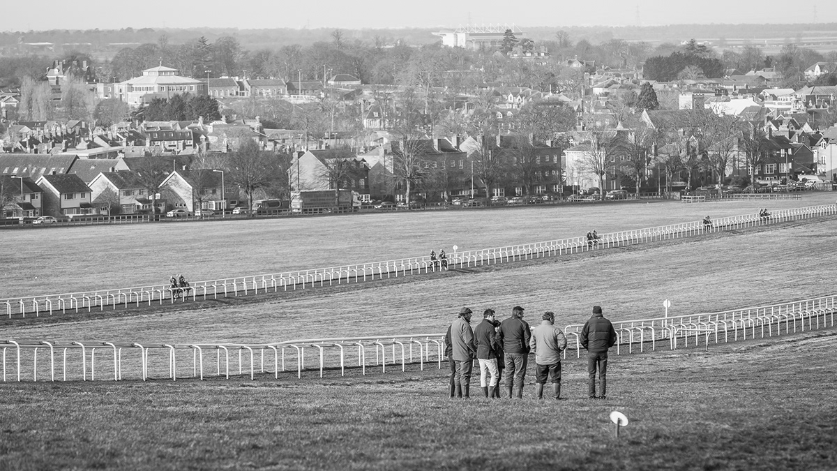 Race-Horse jockeys thoroughbred Newmarket-Town Warren-Hill strength stamina equestrian gallop Training Field