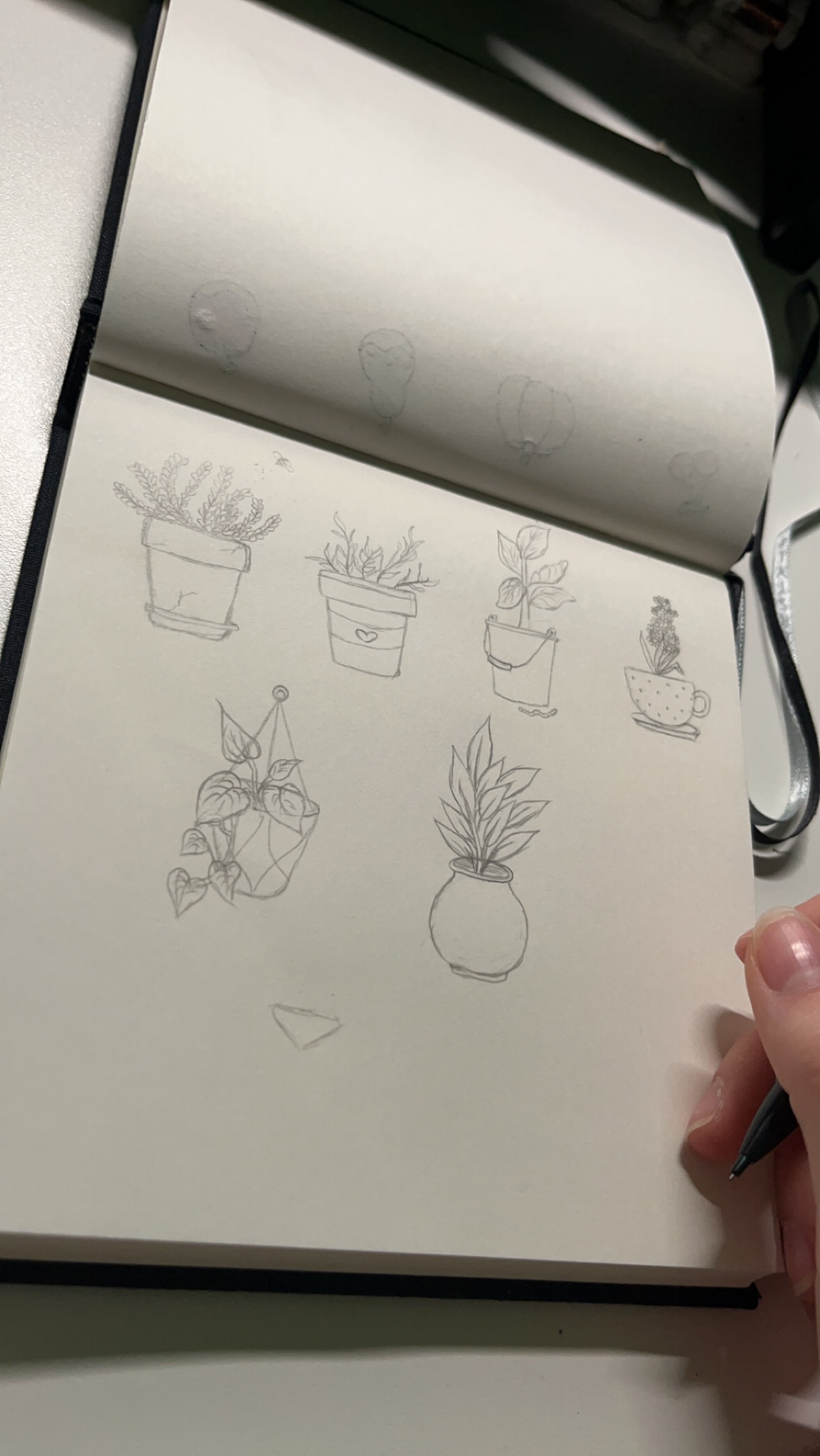 pflanzen skizze sticker zeichnen