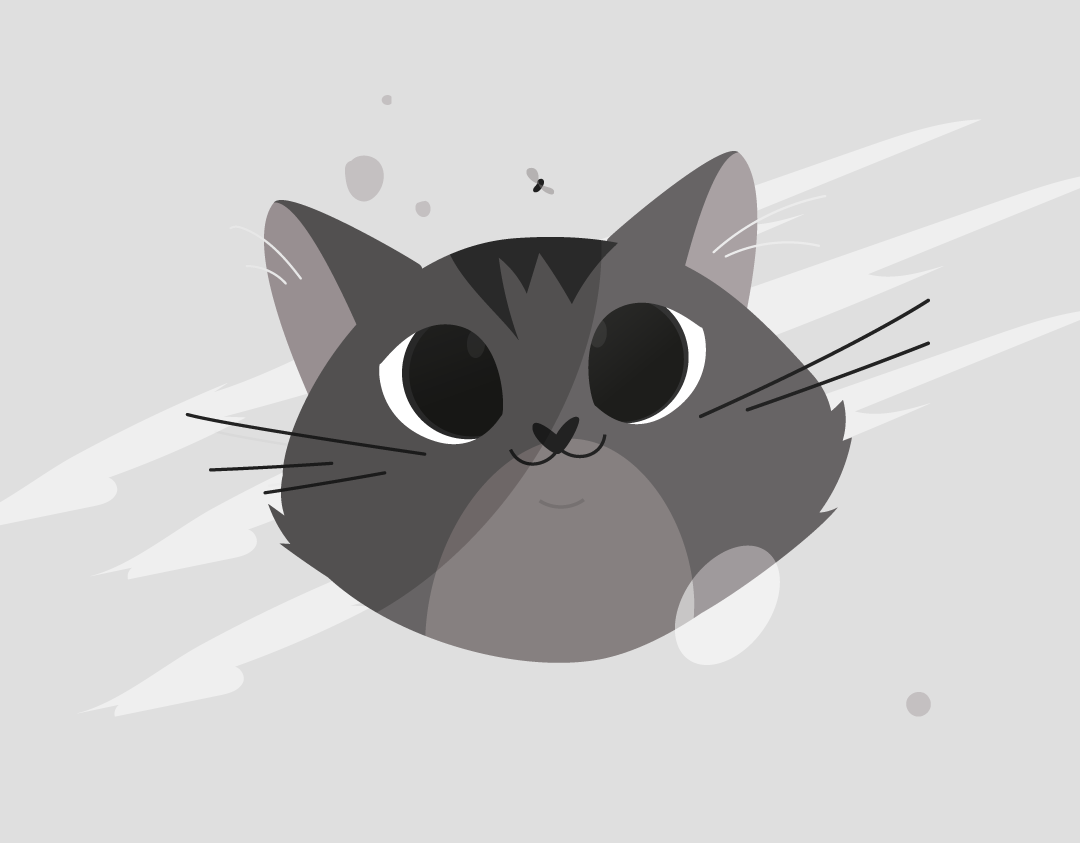 animal Cat catlife Character characterdesign Chat ILLUSTRATION  inktober inktober2020 motiondesign