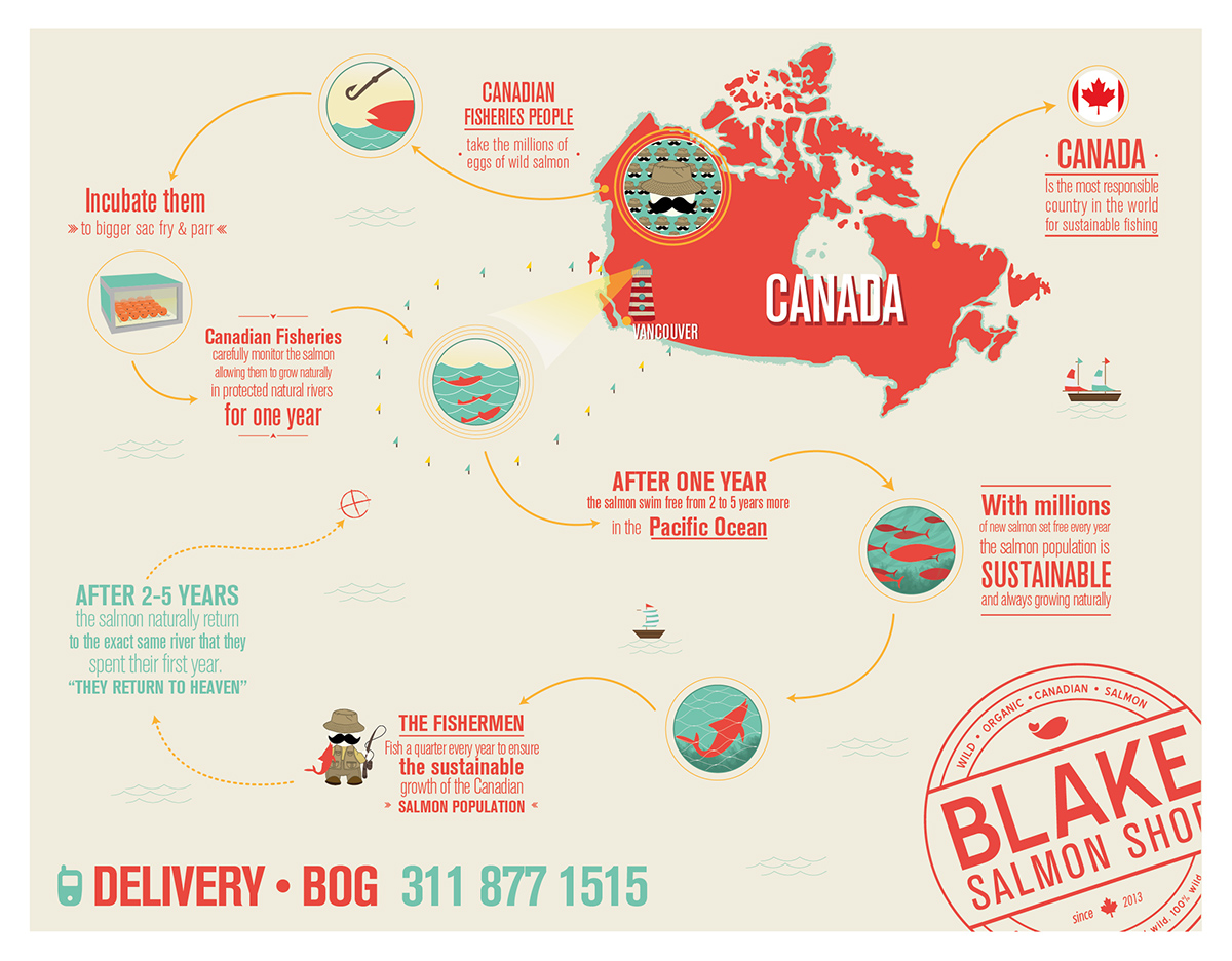 redes sociales infographics social networks posts salmon shop blake Canada blake salmon shop natts