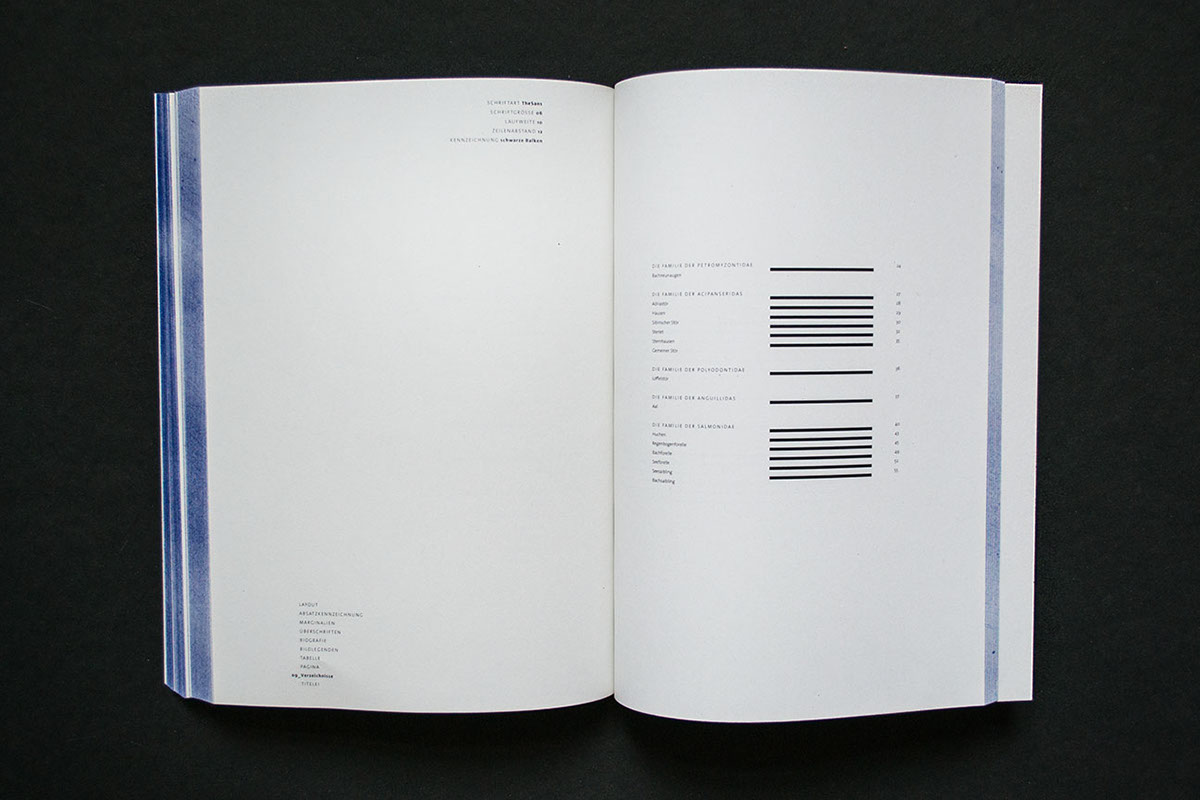 Kompendium Typographie