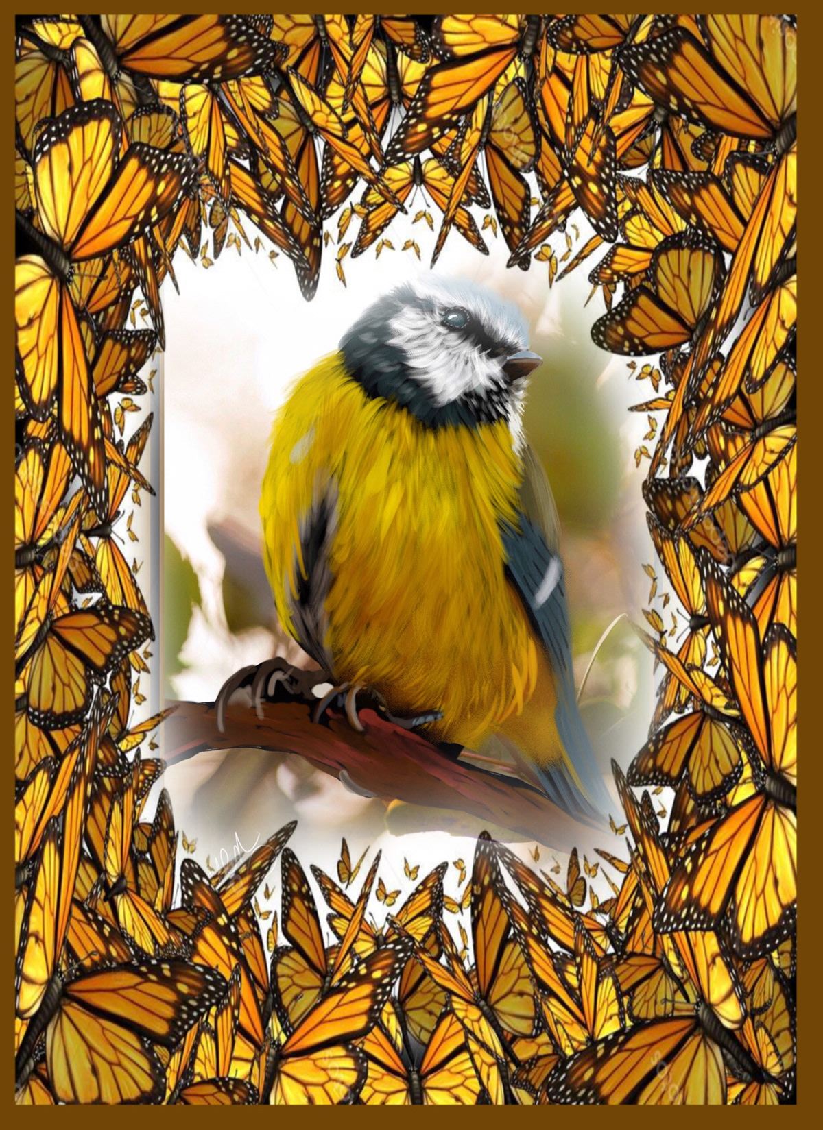 Digital Art  digital painting Drawing  illustrations animals birds Eurasian blue tits