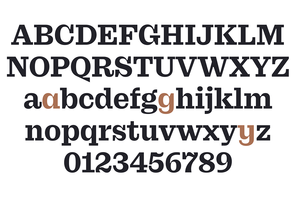 Brand Design font Logo Design typedesign typedesigner typeface design typography   visual identity