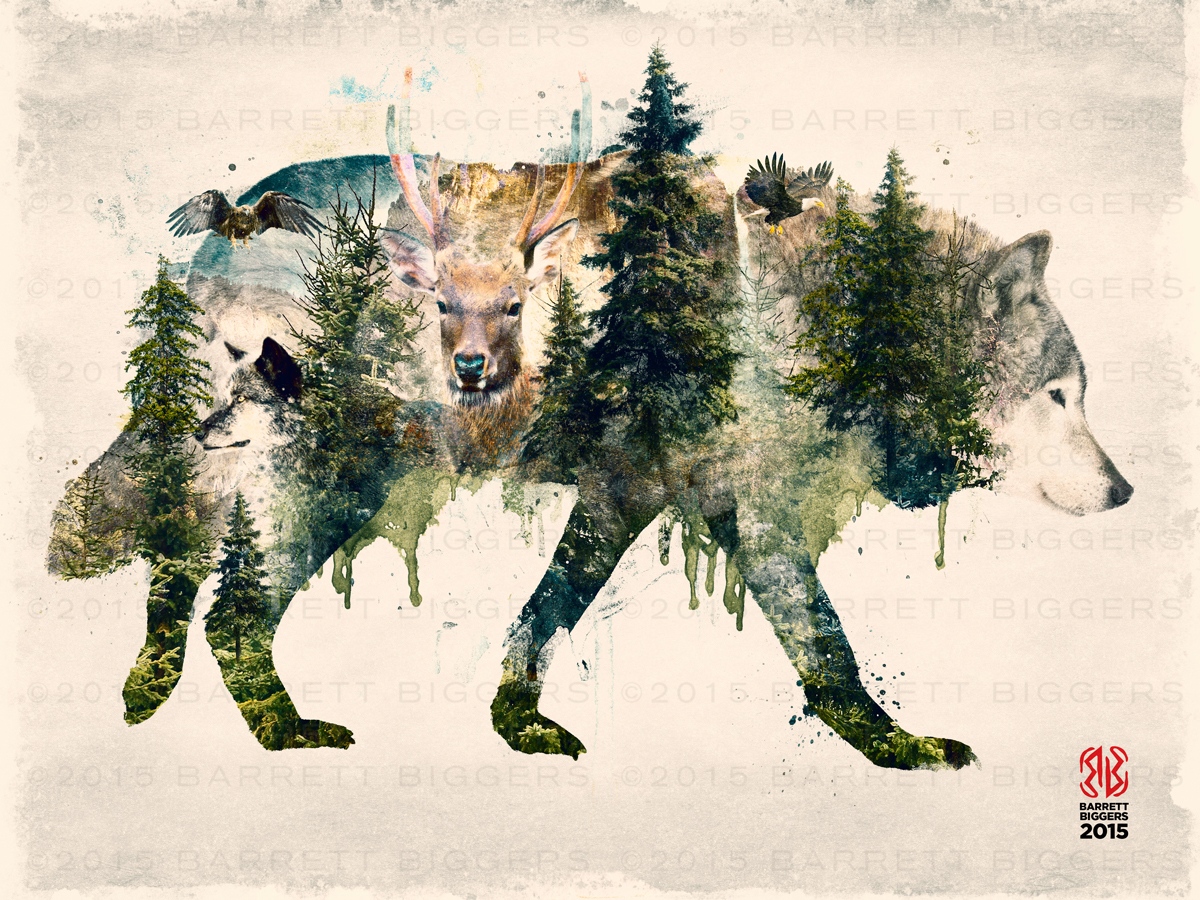 surreal surrealism animals wolf deer Nature forest collage vintage double exposure wolves pacific Northwest mountains america