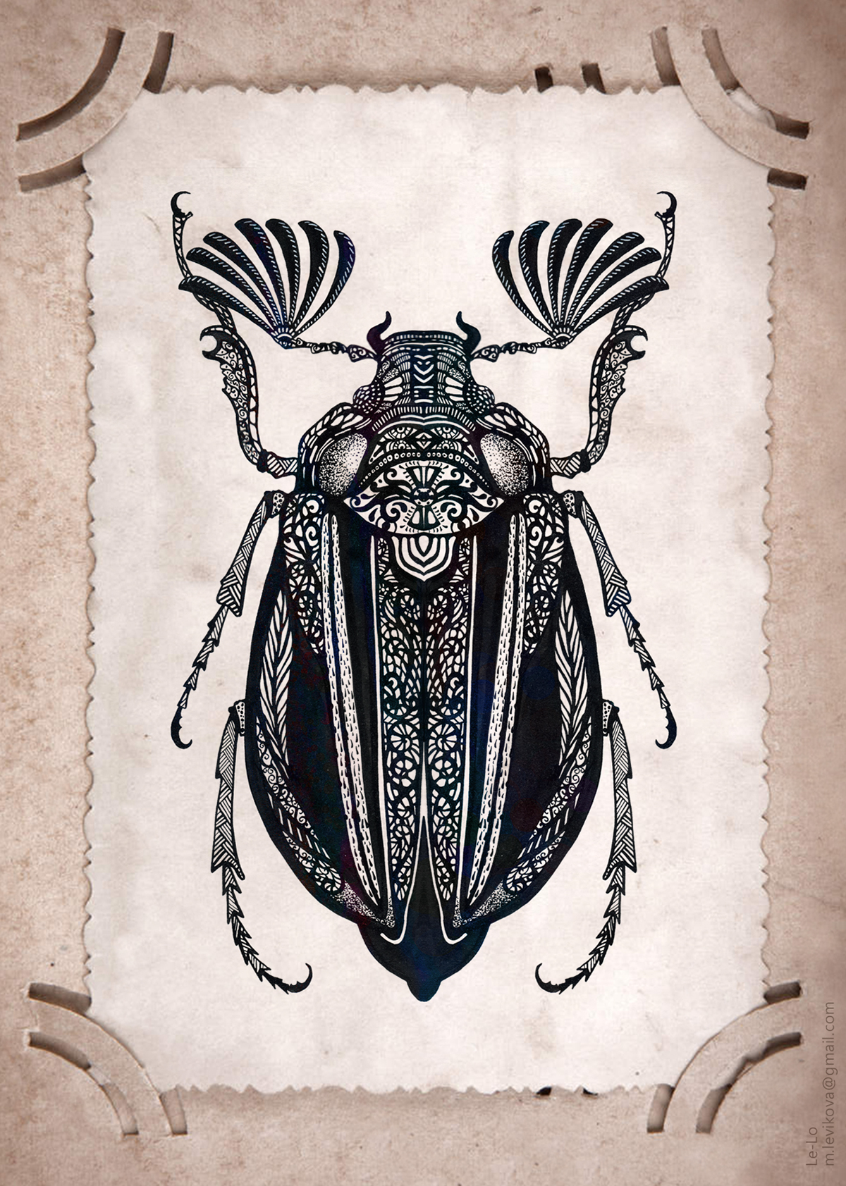 ink insect botany ornament graphic arts graphic print