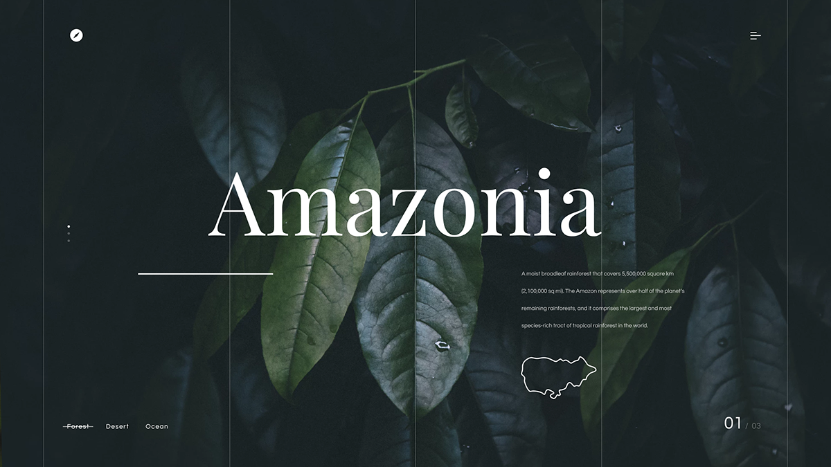amazonia Interface design Travel forest landing landing page clean