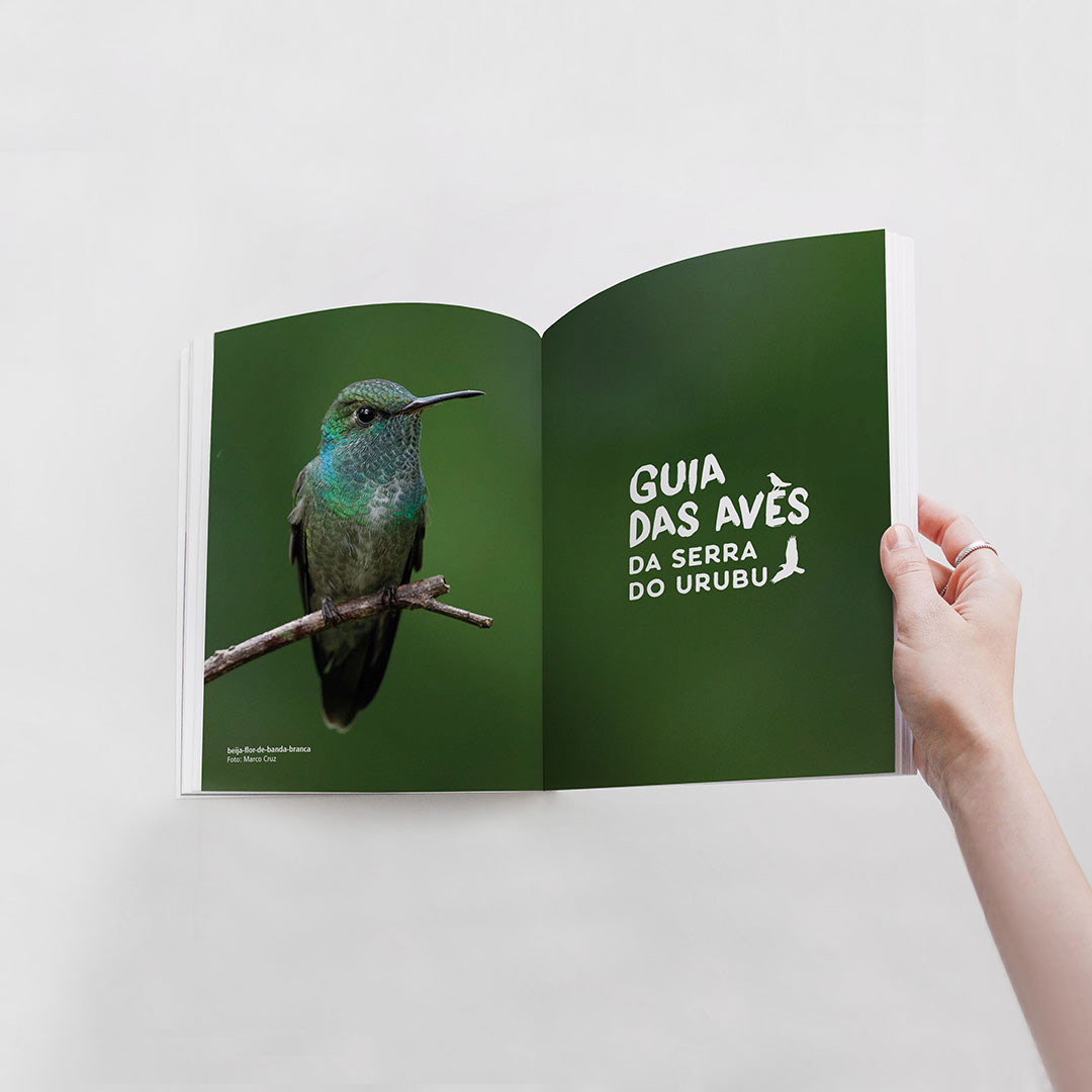 bird design editorial Guide