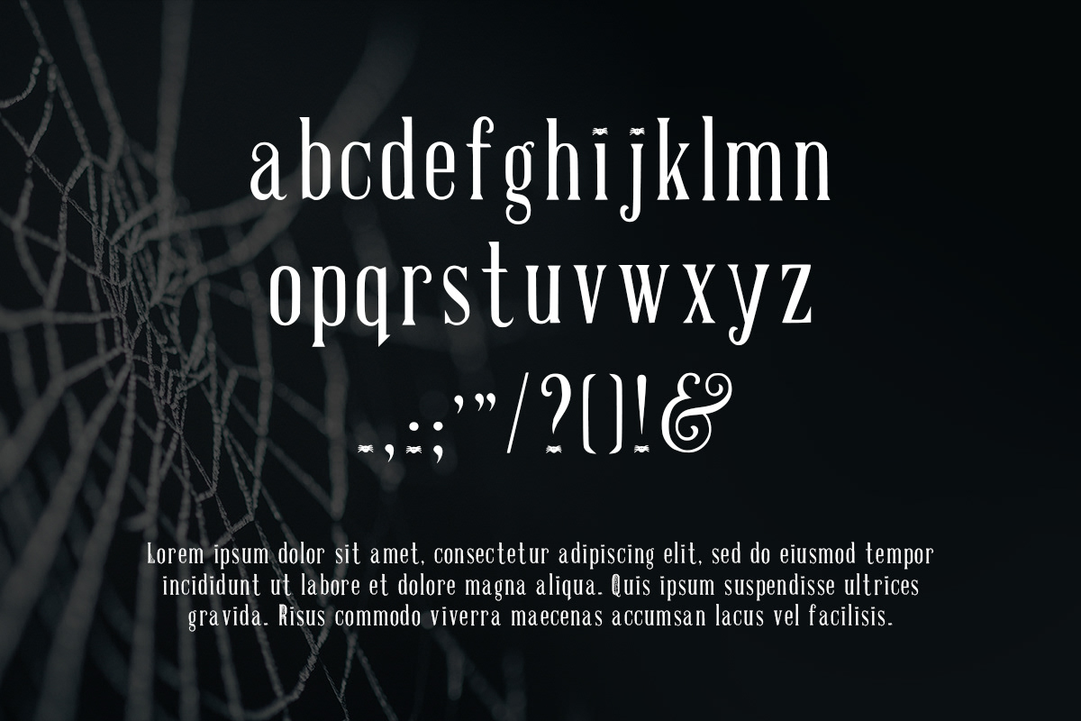 cobweb Cobweb Font font Halloween spiderweb spiky spooky Typeface typography   Web