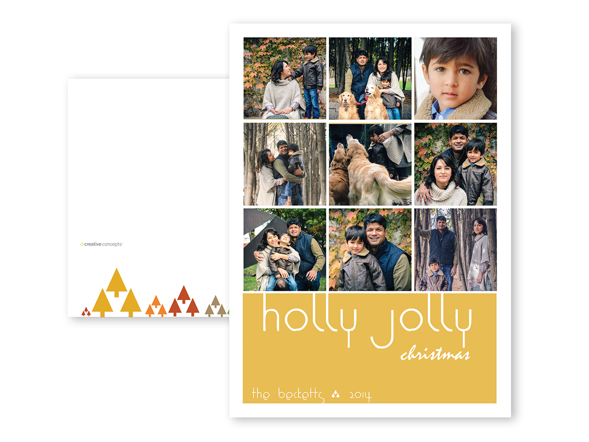 holiday cards  greeting cards