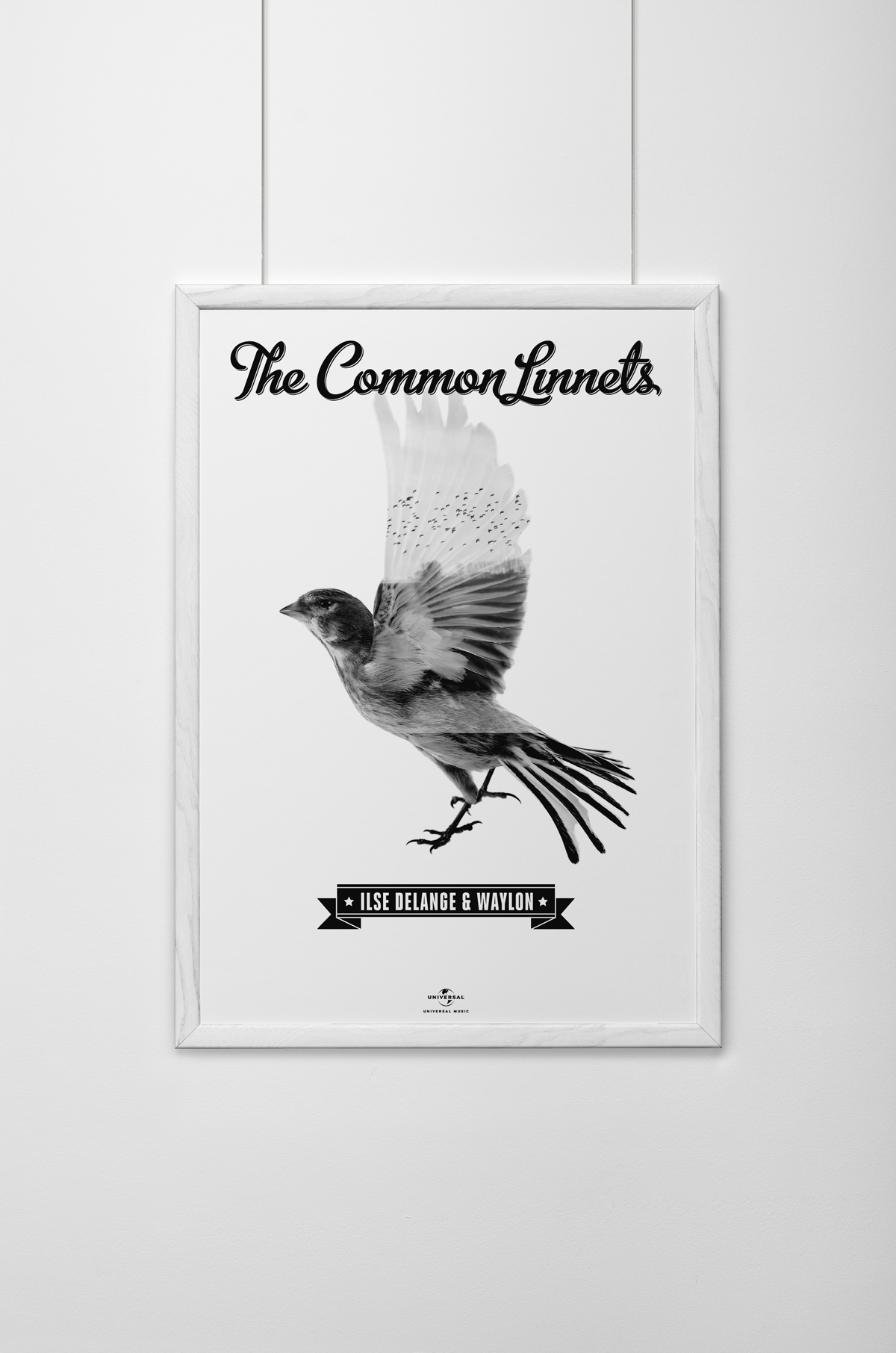 the common linnets bird birds CD cover artwork Album cd artwork design Ilse DeLange waylon eurovision song contest dutch The Netherlands rens dekker name