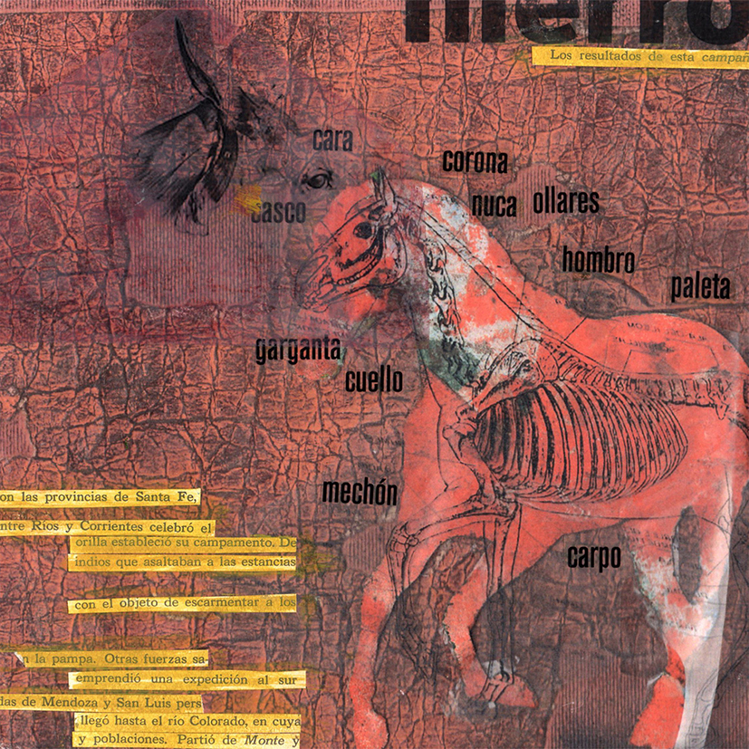 Gabriele tecninas ilustracion caballo collage color