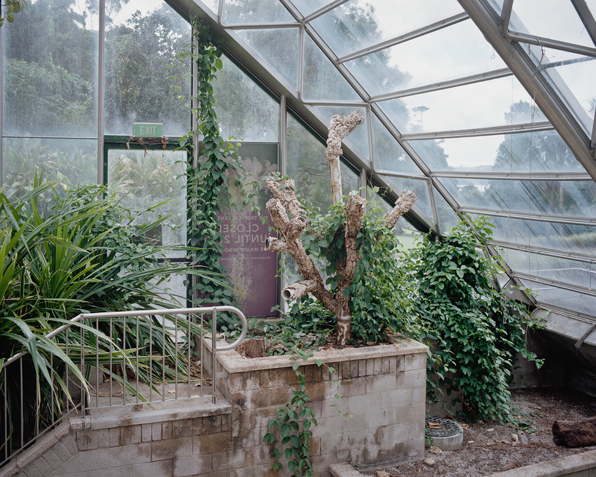 film photography architectural photography analog medium format fine art photography gardens sydney Australia Urban Decay