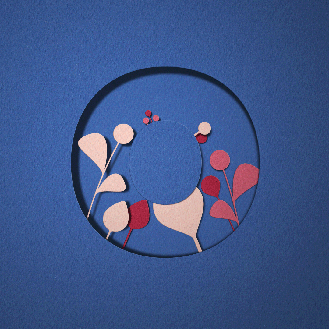 36daysoftype04 36daysoftype 36days floral Nature wild paper animation  type typography  