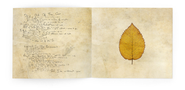 the boxer rebellion album cover CD cover album artwork London leaf texture