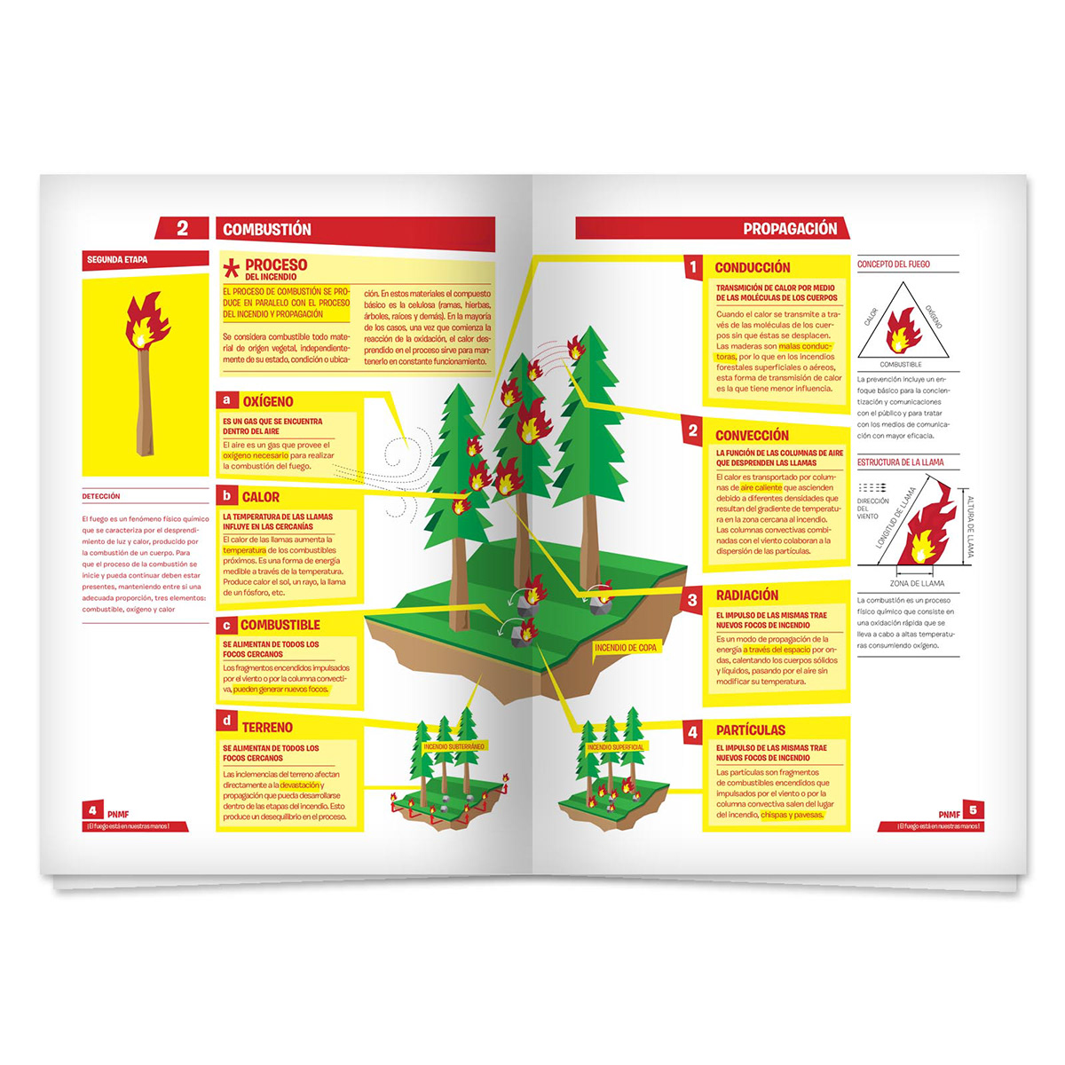 editorial Campaña folleto infografia
