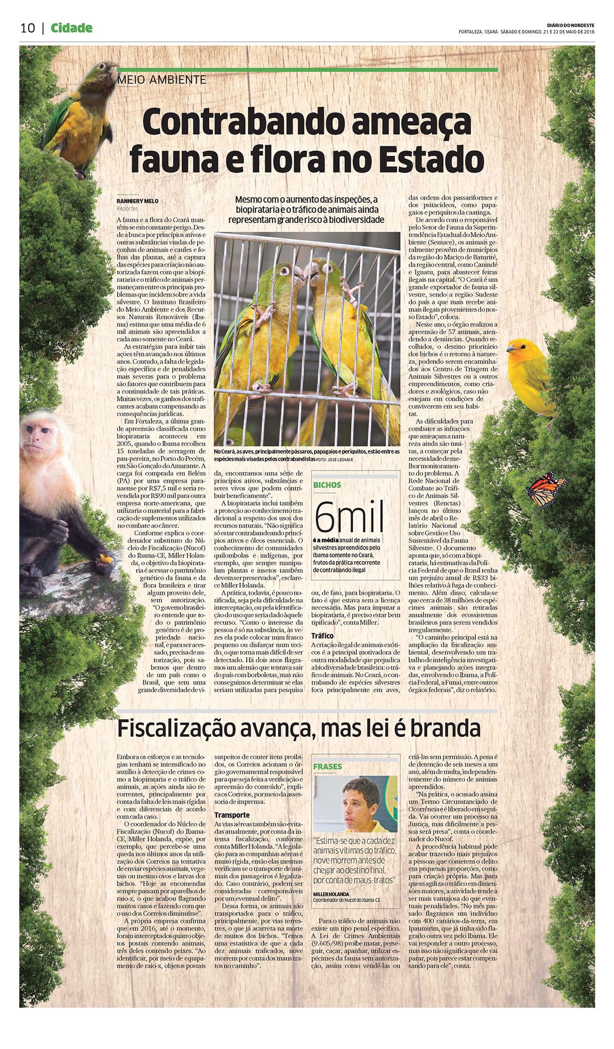 jornal impresso digital diário do nordeste fortaleza ceará ecologia fauna Flora