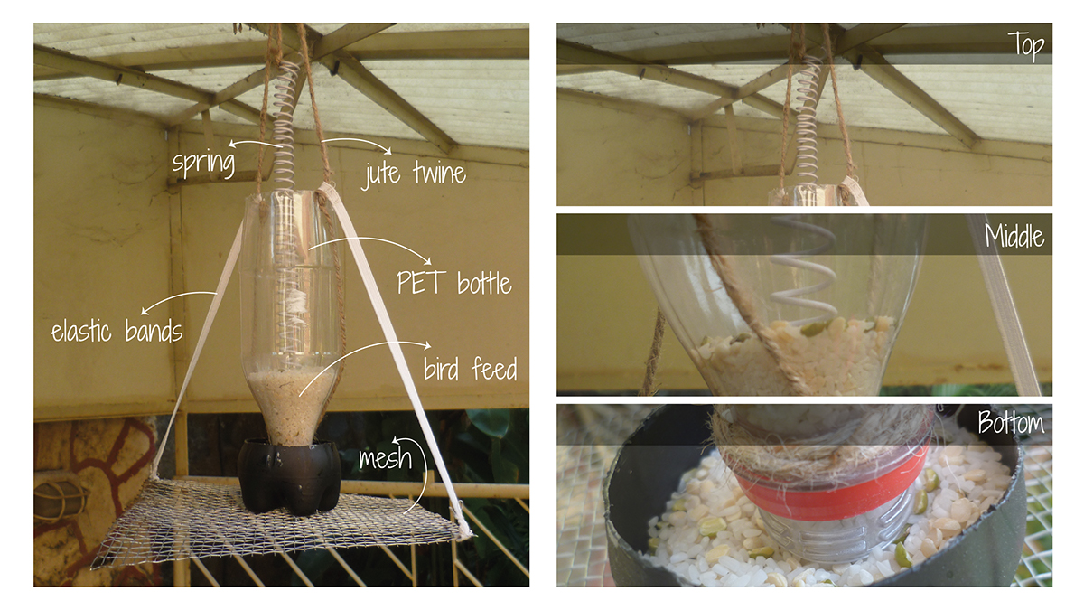 DIY upcycling Coke bottle bird feeder