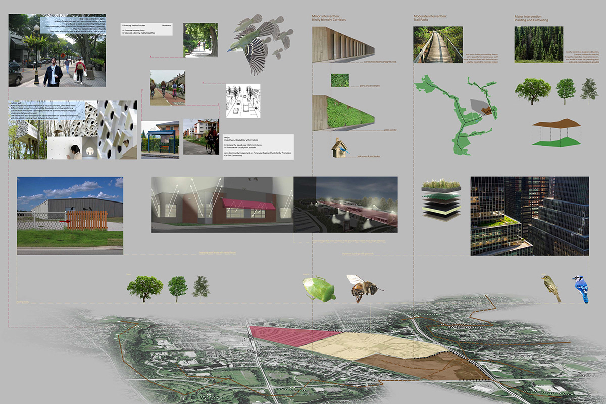 architectural design ecological design ecological architectrue Student work