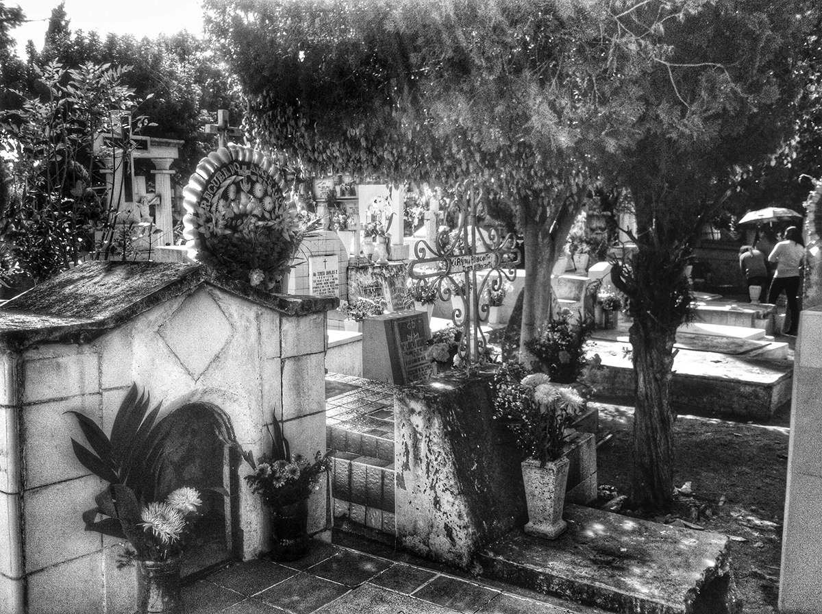 Fotografia dia de los muertos mexico Guanajuato panteon Calaveras skull El Arbol de la vida Huesos calaca