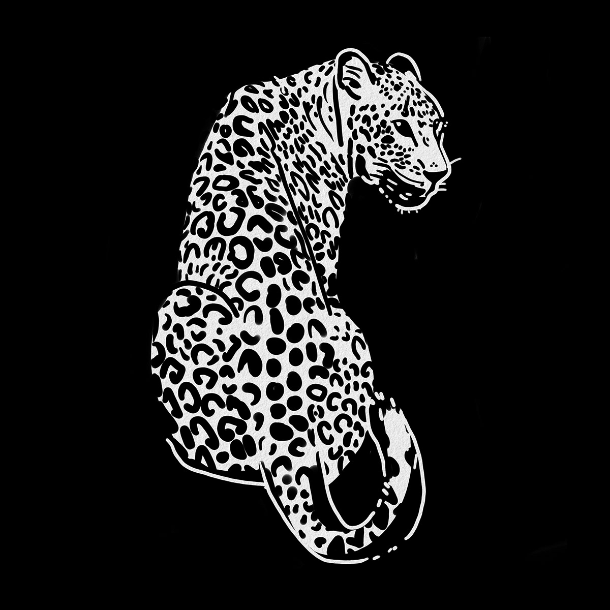 animals art black Drawing  jaguar White wild wildlife