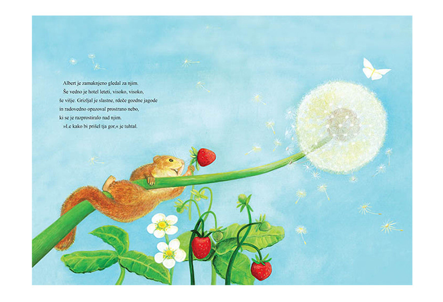 Julia Doria Muscardinusavellanarius Hazel dormouse Picture book children's book illustrations writing  starling animals books