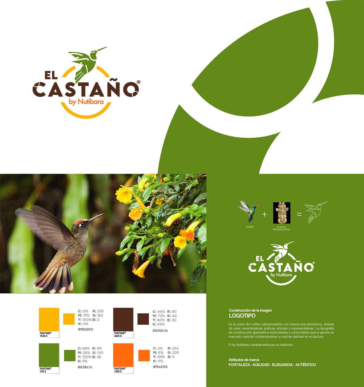 3D bird logo branding  cafe cofeeshop logo Render restaurant Visual Merchandising