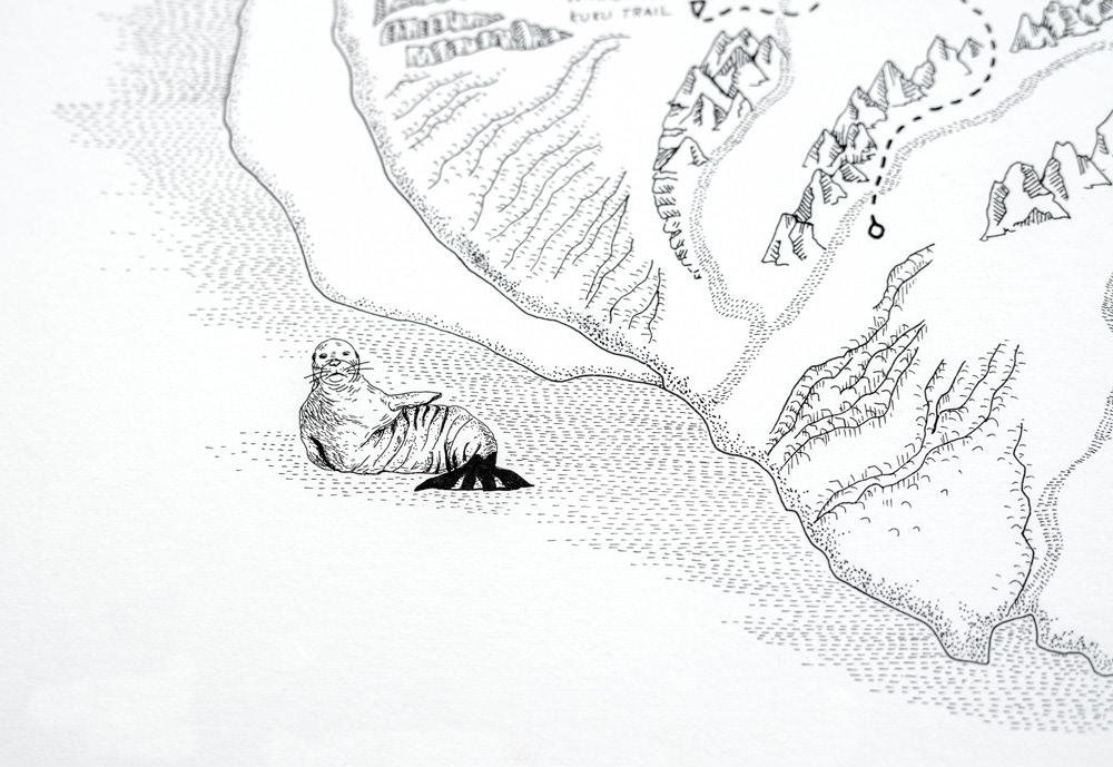 cartography Drawing  handdrawn handdrawnmaps ILLUSTRATION  map map design mapillustration sealife seawildlife