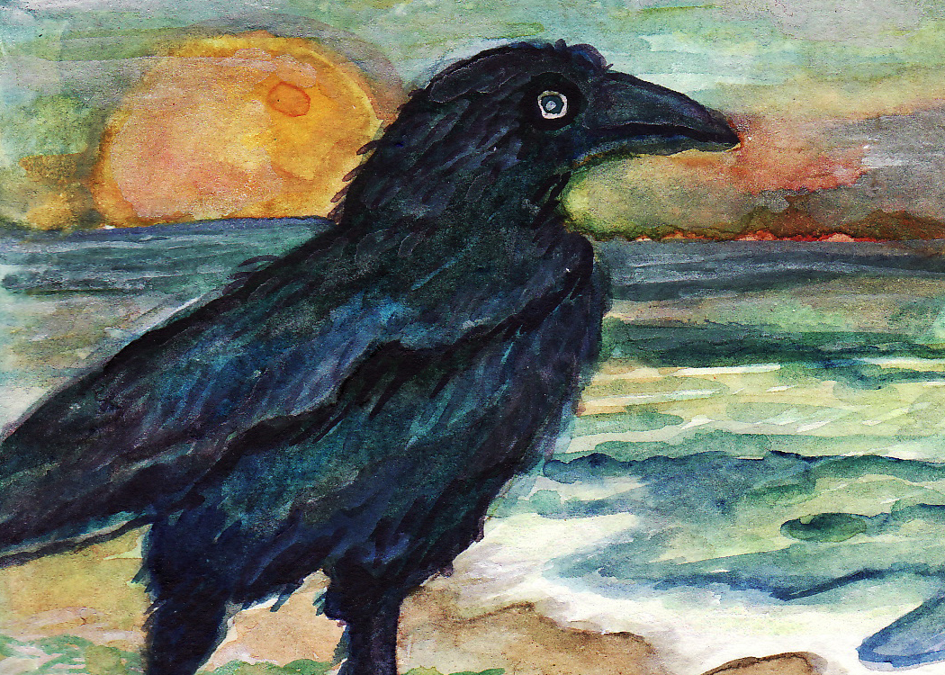 raven bird crow watercolor