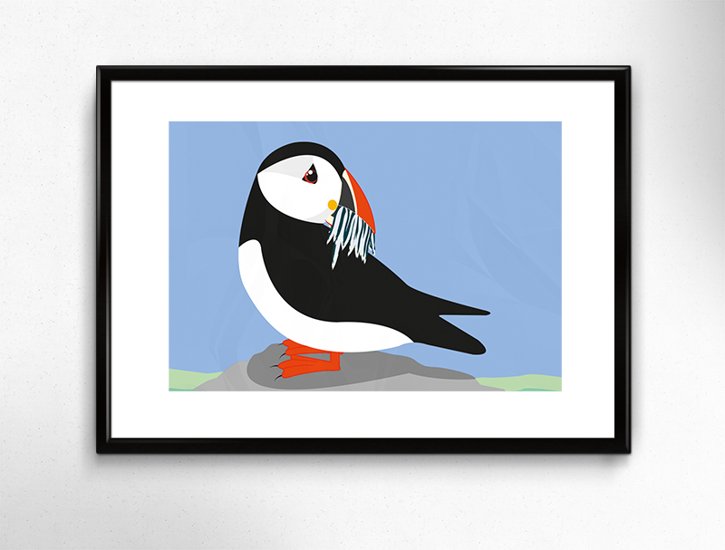 puffin bird wildlife sea bird scottish scotland Nature vector art Coast