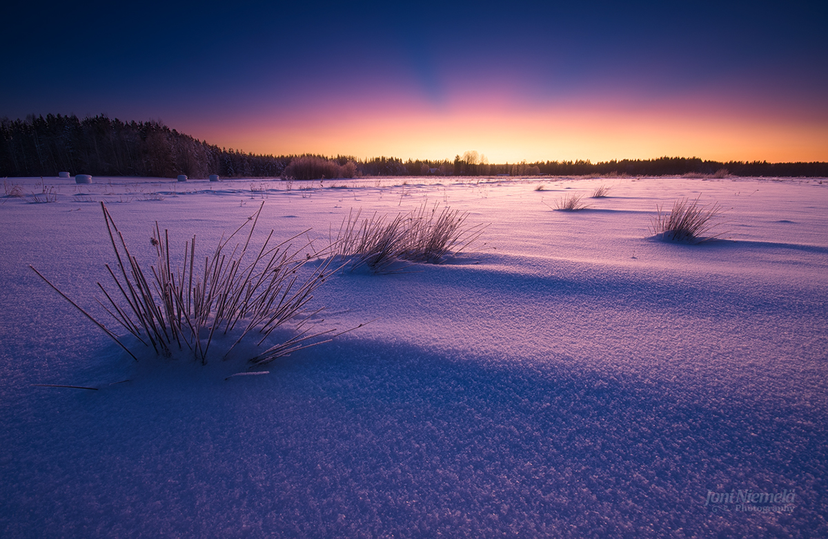 winter snow finland cold mood MORNING Evening blue hour macro details Landscape