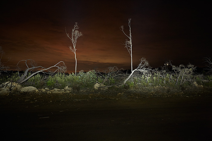 belanglo  forest  night  long exposure ivan milat backpacker murders serial killer murder Landscape dark bush trees New South Wales Australia