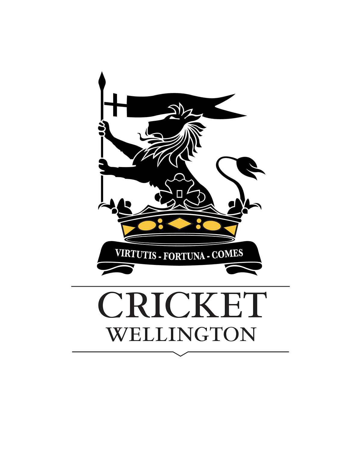 Cricket summer slow Desaturated Booklet video logo crest heraldry New Zealand wellington