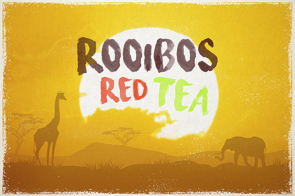 tea package design rooibos drink adobe ILLUSTRATION  trend animal africa