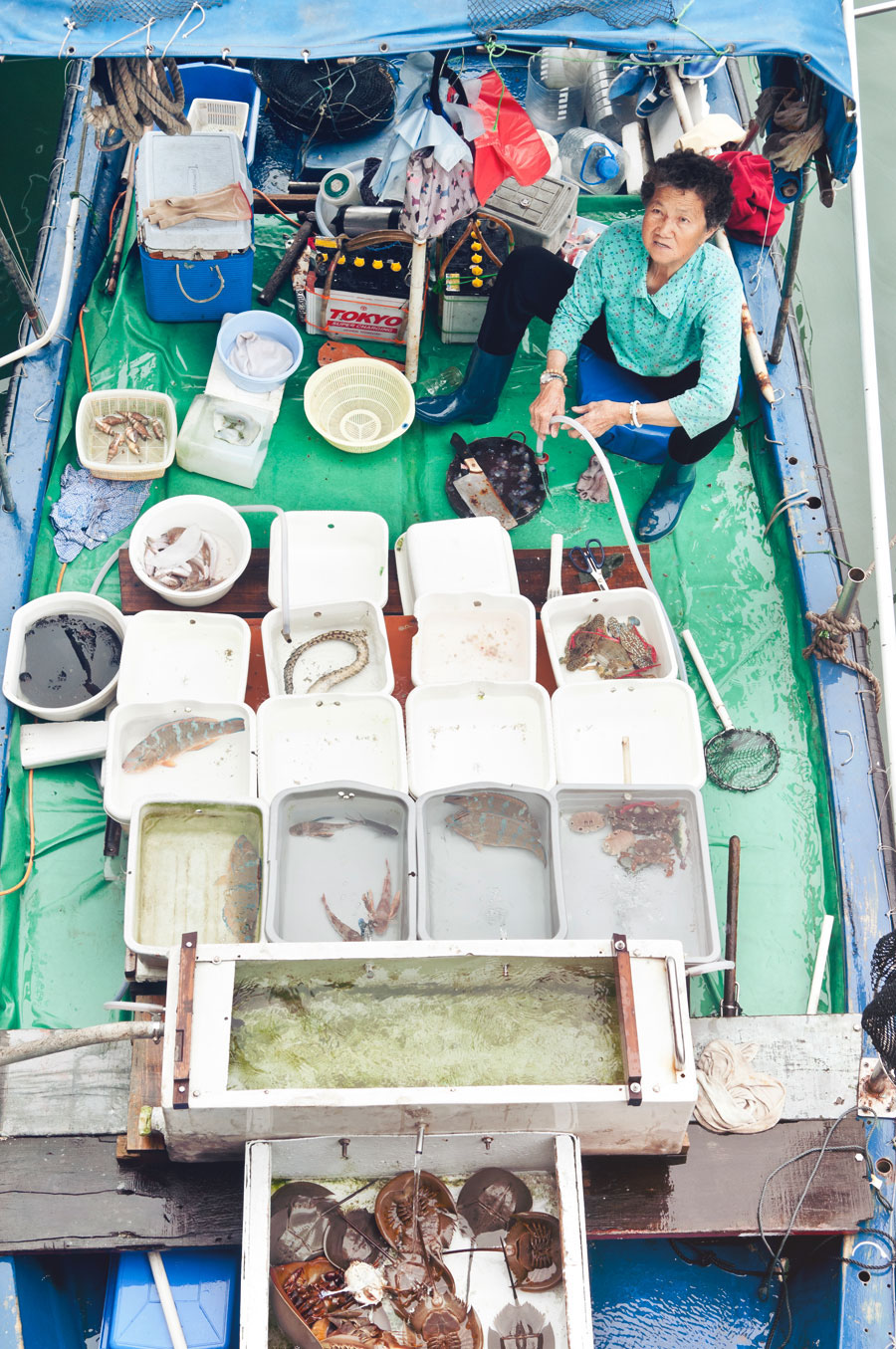 editorial Hong Kong Sai Kung seafood Food  chinese asia fishman people
